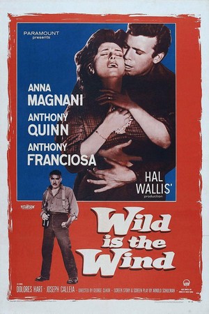 Wild Is the Wind (1957) - poster