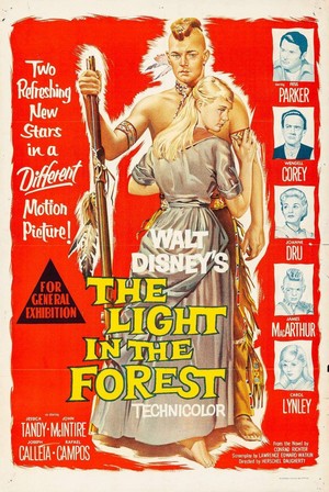 The Light in the Forest (1958) - poster
