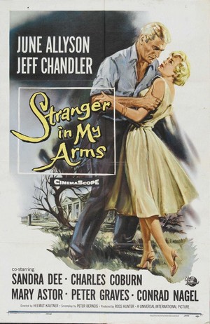 A Stranger in My Arms (1959) - poster