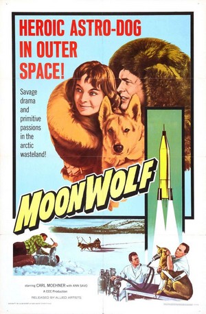 Zurück aus dem Weltall (1959) - poster