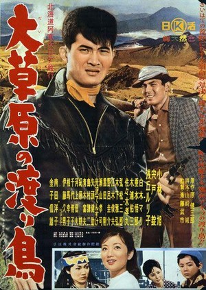 Daisogen no Wataridori (1960) - poster