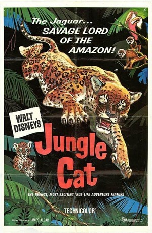 Jungle Cat (1960) - poster
