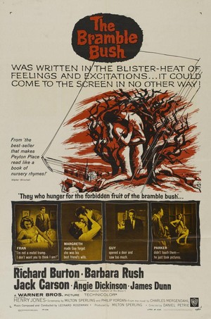 The Bramble Bush (1960) - poster