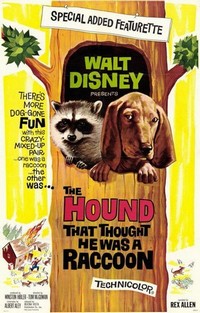 The Hound That Thought He Was a Raccoon (1960) - poster