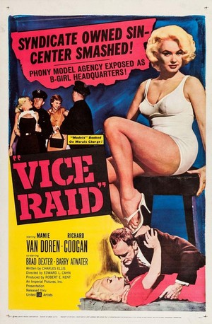 Vice Raid (1960) - poster