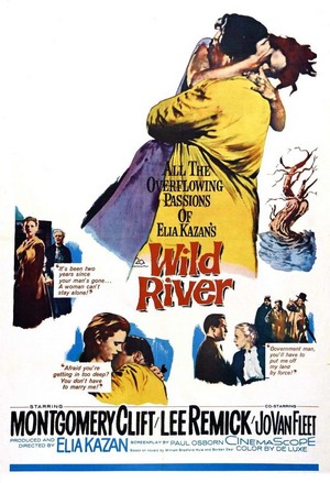 Wild River (1960) - poster