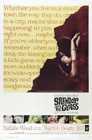 Splendor in the Grass (1961) - poster
