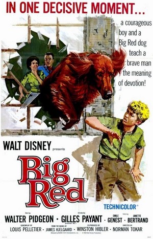 Big Red (1962) - poster