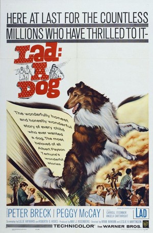 Lad: A Dog (1962) - poster