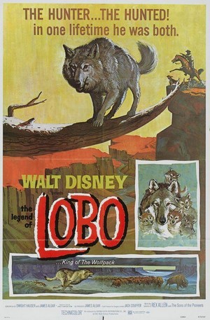 The Legend of Lobo (1962) - poster