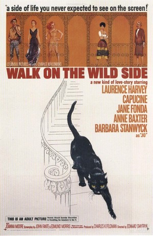 Walk on the Wild Side (1962) - poster