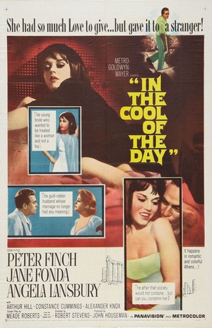 In the Cool of the Day (1963) - poster