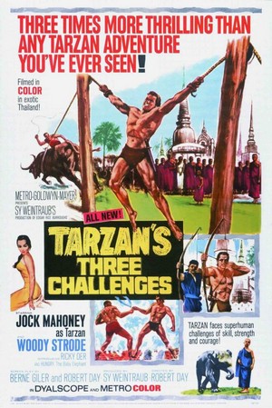 Tarzan's Three Challenges (1963) - poster