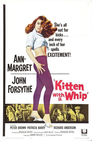 Kitten with a Whip (1964) - poster