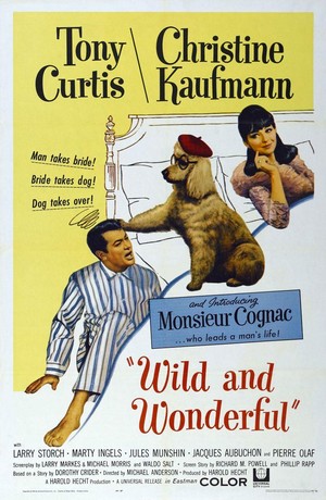 Wild and Wonderful (1964) - poster