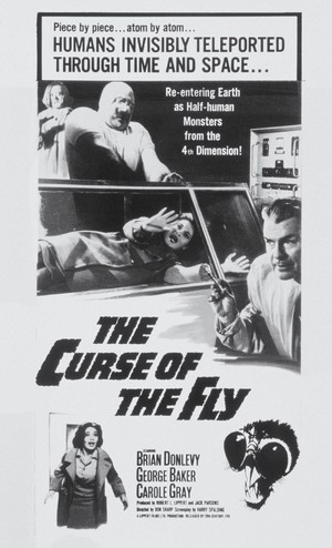 Curse of the Fly (1965) - poster