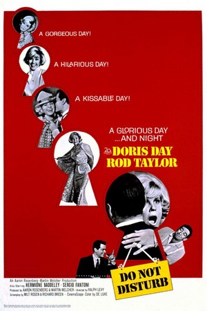 Do Not Disturb (1965) - poster