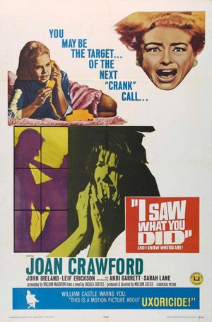 I Saw What You Did (1965) - poster
