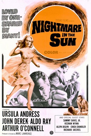 Nightmare in the Sun (1965) - poster