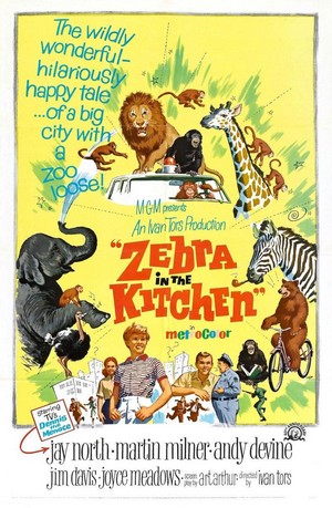 Zebra in the Kitchen (1965) - poster