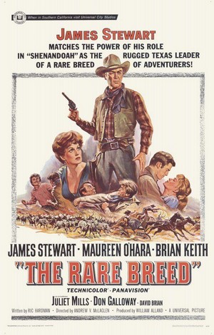 The Rare Breed (1966) - poster