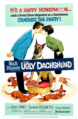 The Ugly Dachshund (1966) - poster