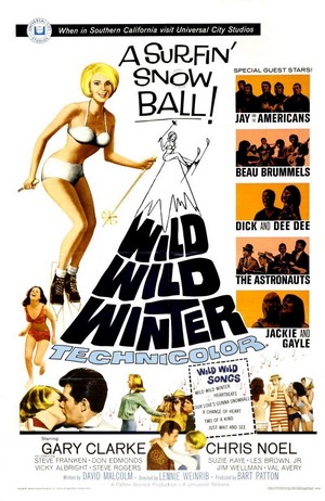 Wild Wild Winter (1966) - poster