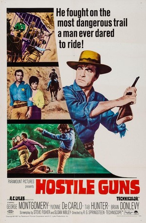 Hostile Guns (1967) - poster