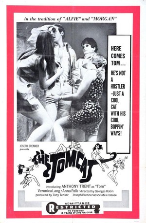 Mini Weekend (1968) - poster