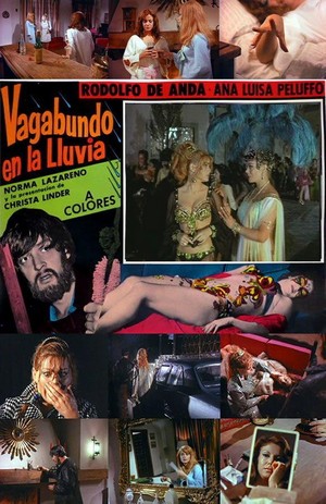 Vagabundo en la Lluvia (1968) - poster