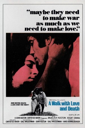 A Walk with Love and Death (1969) - poster