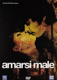 Amarsi Male (1969) - poster