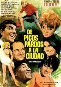 De Picos Pardos a la Ciudad (1969) - poster