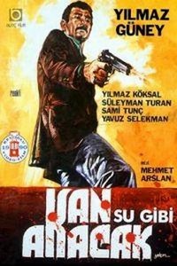 Kan Su Gibi Akacak (1969) - poster