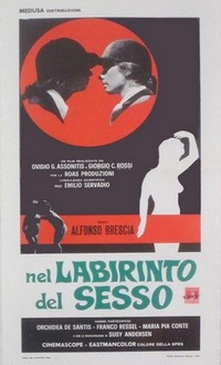 Nel Labirinto del Sesso (1969) - poster