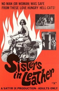 Sisters in Leather (1969) - poster