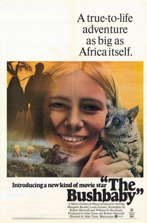 The Bushbaby (1969) - poster