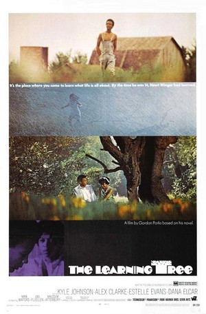 The Learning Tree (1969) - poster