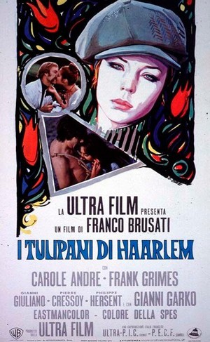 I Tulipani di Haarlem (1970) - poster