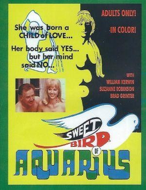 Sweet Bird of Aquarius (1970) - poster