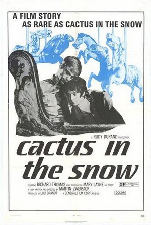 Cactus in the Snow (1971) - poster