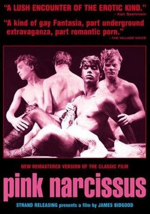 Pink Narcissus (1971) - poster