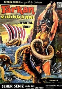 Tarkan Viking Kani (1971) - poster