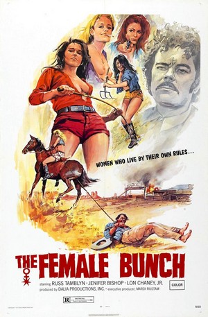 The Female Bunch (1971) - poster