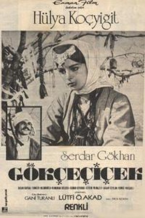 Gökçe Çiçek (1972) - poster