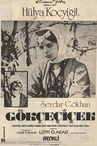 Gökçe Çiçek (1972) - poster