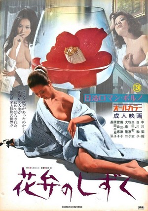 Kaben No Shizuku (1972) - poster