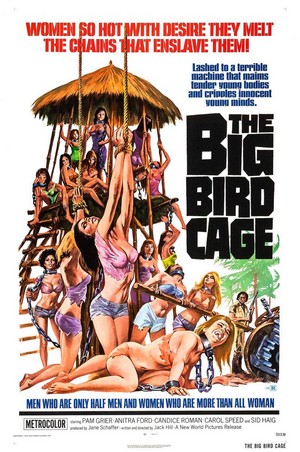 The Big Bird Cage (1972) - poster