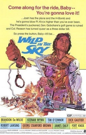 Wild in the Sky (1972) - poster