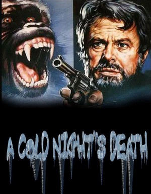A Cold Night's Death (1973) - poster